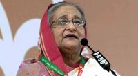 Hasina urges fact checking, cyber crime awareness