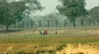 Bangladeshi shot dead by BSF along Thakurgaon border