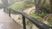 Floods, road closures in Australia as storms lash some bushfire-hit regions