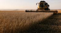 Bangladesh to buy Ukrainian wheat if Russian grain unavailable