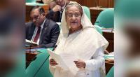 Baul singer Shariat must’ve committed a crime: PM