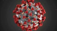 Bangladesh reports fourth coronavirus death