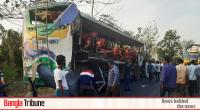 Five killed in Bagerhat road crash