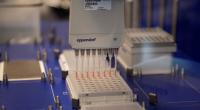 ‘Malaria drug is biggest hope against coronavirus’