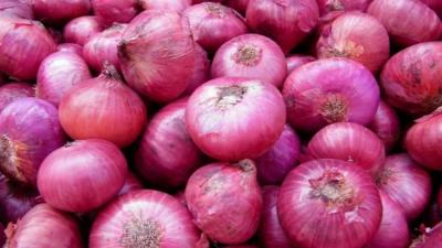No trace of 4 lac tonnes onion