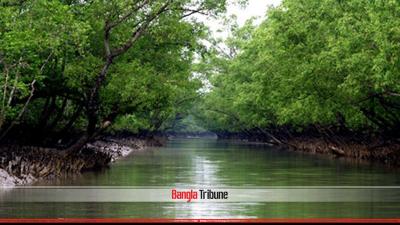Mobile towers in Sundarbans not harmful: BRTC