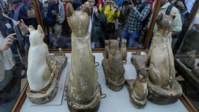 Egyptian animal mummies showcased near Cairo