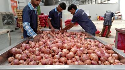 No more onion import from India: Minister