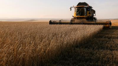 Bangladesh to buy Ukrainian wheat if Russian grain unavailable